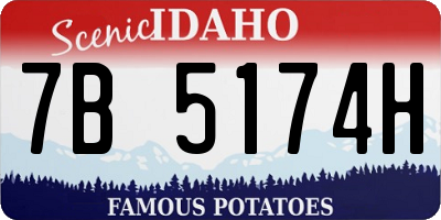 ID license plate 7B5174H