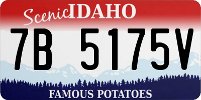 ID license plate 7B5175V