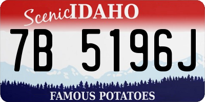 ID license plate 7B5196J