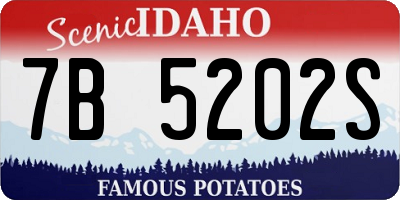 ID license plate 7B5202S