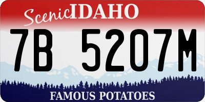 ID license plate 7B5207M