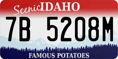 ID license plate 7B5208M