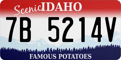 ID license plate 7B5214V