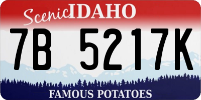 ID license plate 7B5217K