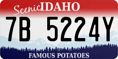 ID license plate 7B5224Y