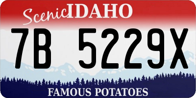 ID license plate 7B5229X