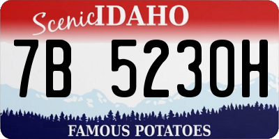 ID license plate 7B5230H