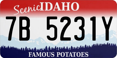 ID license plate 7B5231Y
