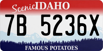 ID license plate 7B5236X