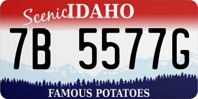 ID license plate 7B5577G