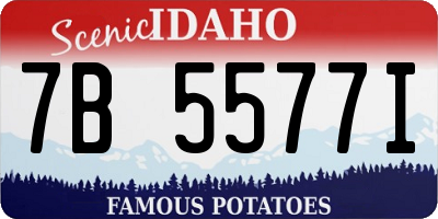 ID license plate 7B5577I