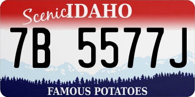 ID license plate 7B5577J