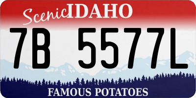 ID license plate 7B5577L