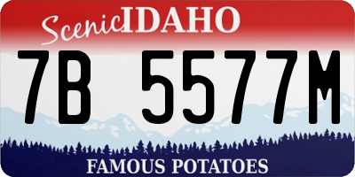 ID license plate 7B5577M