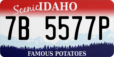 ID license plate 7B5577P