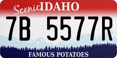 ID license plate 7B5577R