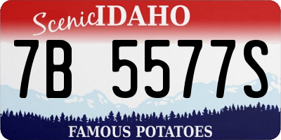 ID license plate 7B5577S