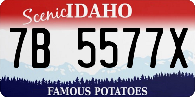 ID license plate 7B5577X