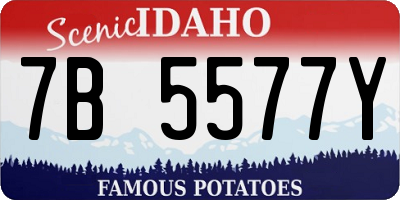 ID license plate 7B5577Y