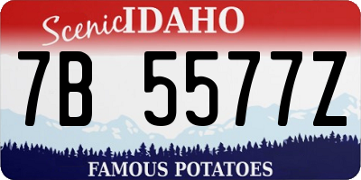 ID license plate 7B5577Z