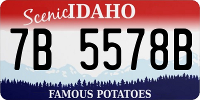 ID license plate 7B5578B