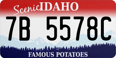 ID license plate 7B5578C