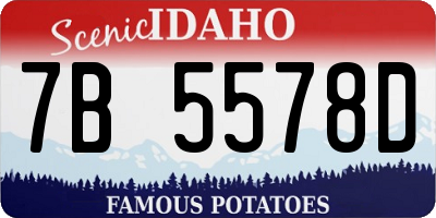 ID license plate 7B5578D