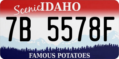 ID license plate 7B5578F