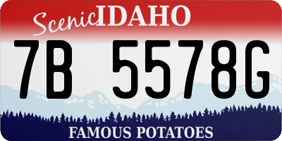 ID license plate 7B5578G
