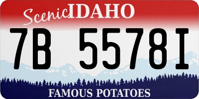 ID license plate 7B5578I