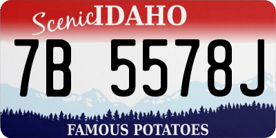 ID license plate 7B5578J