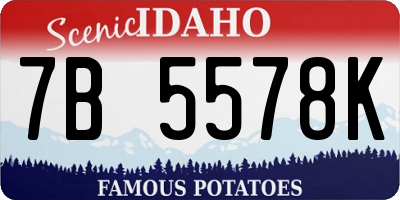 ID license plate 7B5578K