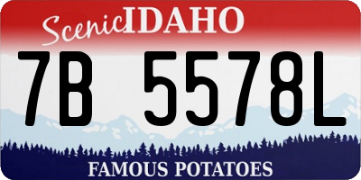 ID license plate 7B5578L