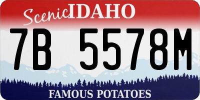 ID license plate 7B5578M