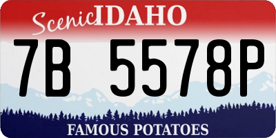 ID license plate 7B5578P