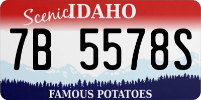 ID license plate 7B5578S
