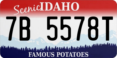 ID license plate 7B5578T