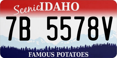 ID license plate 7B5578V