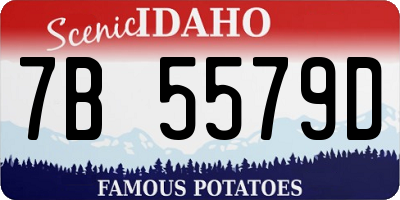 ID license plate 7B5579D