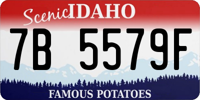 ID license plate 7B5579F
