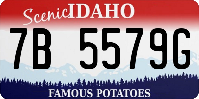 ID license plate 7B5579G