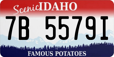 ID license plate 7B5579I