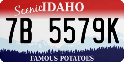 ID license plate 7B5579K