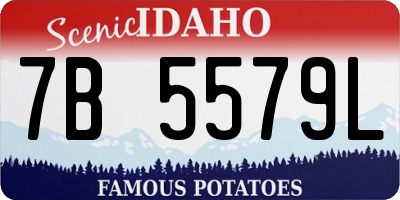 ID license plate 7B5579L