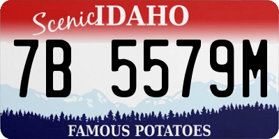 ID license plate 7B5579M
