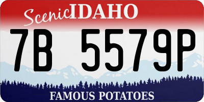 ID license plate 7B5579P
