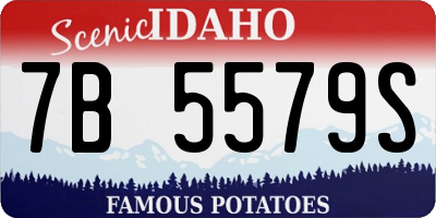ID license plate 7B5579S