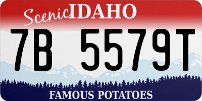 ID license plate 7B5579T