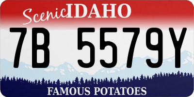 ID license plate 7B5579Y