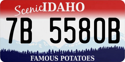 ID license plate 7B5580B